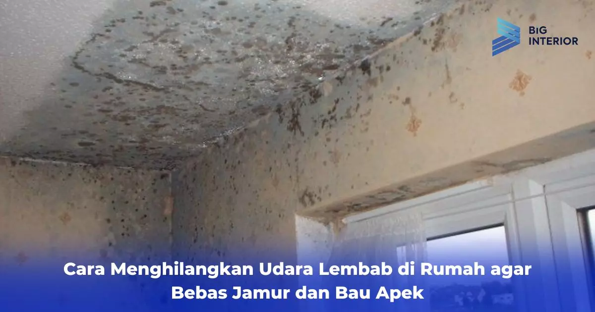 Cara Menghilangkan Udara Lembab di Rumah agar Bebas Jamur dan Bau Apek