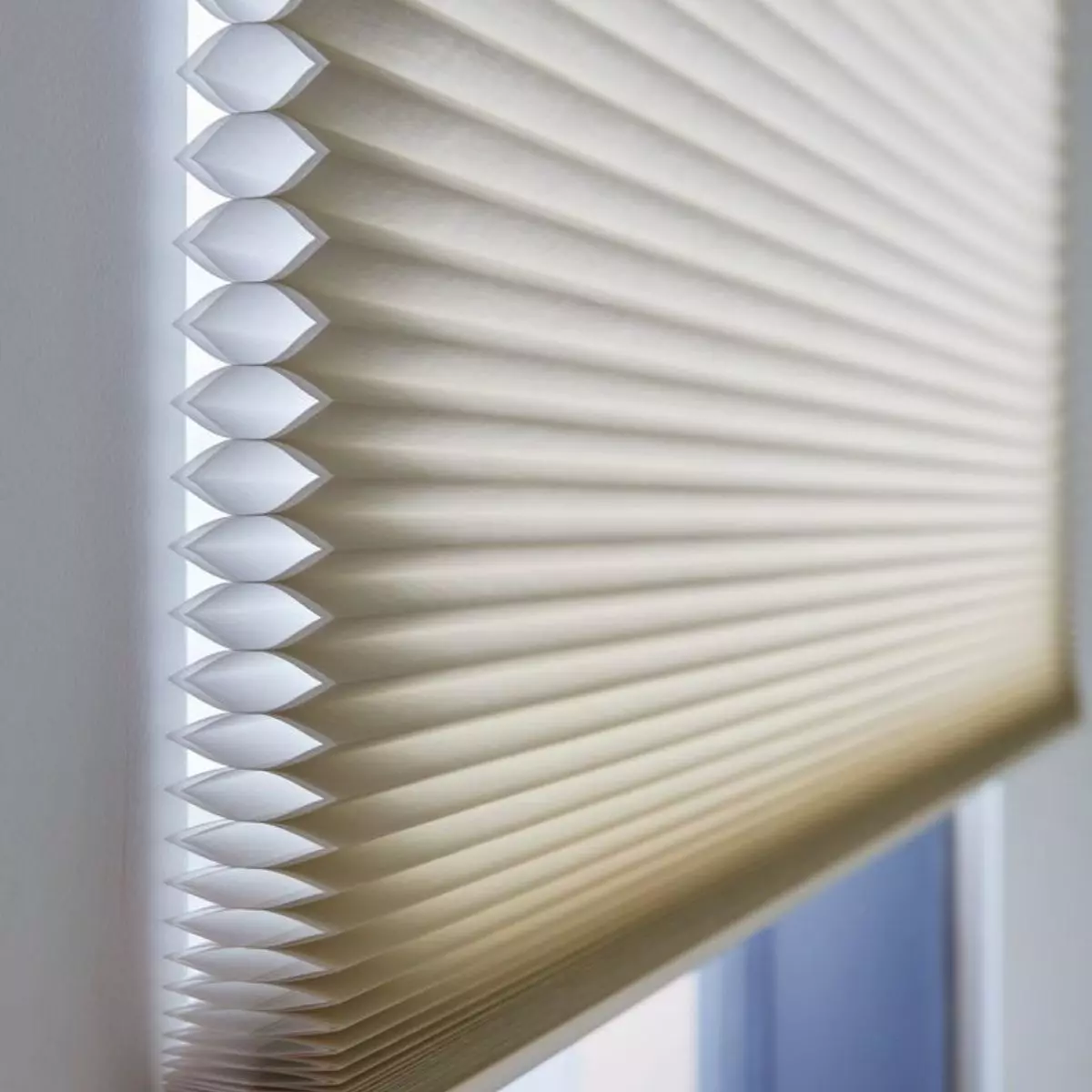 Apa Itu Honeycomb Blinds?