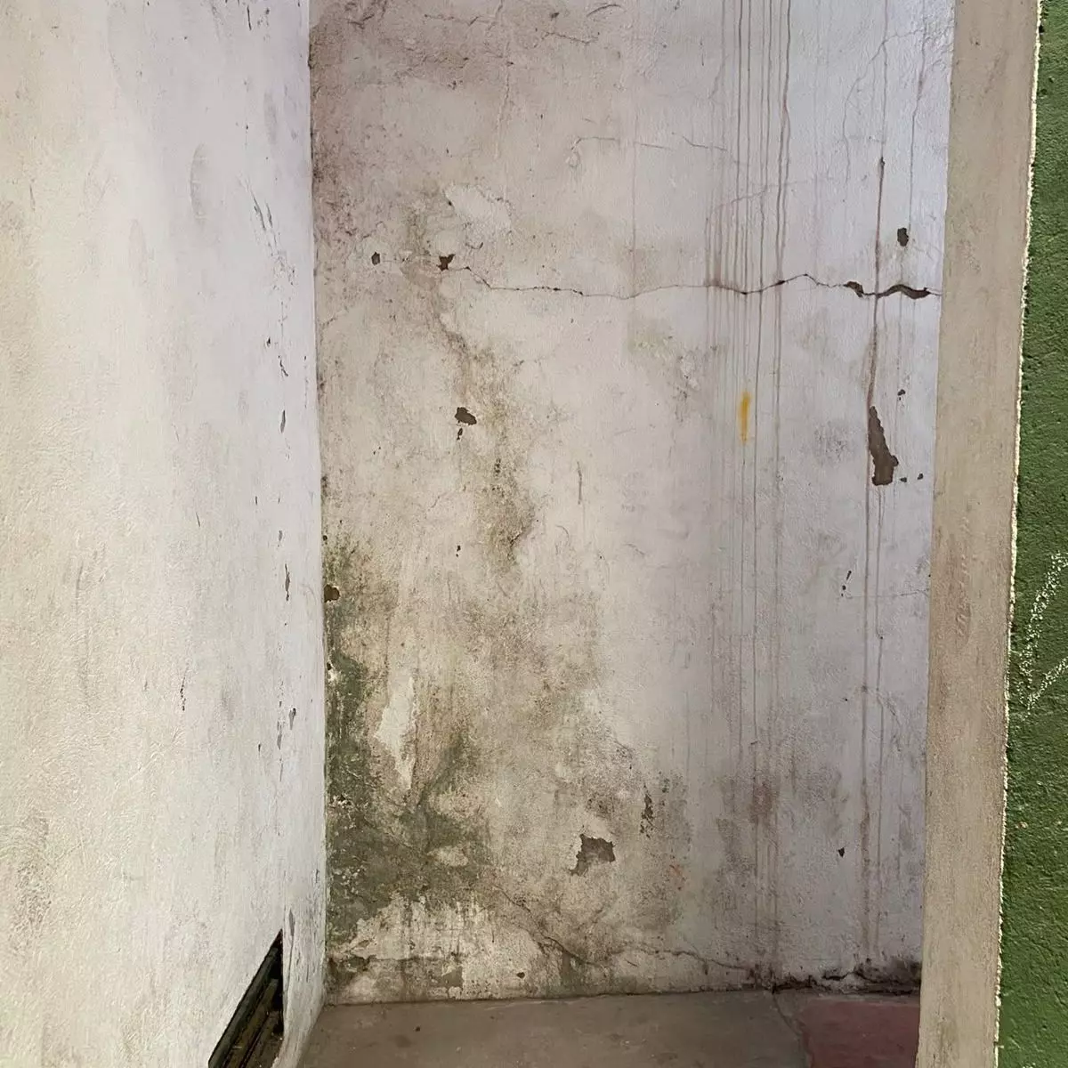 Tips Mengatasi Udara Lembap Berdasarkan Musim di Indonesia