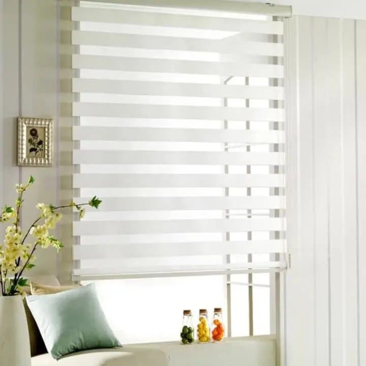 Zebra Blinds